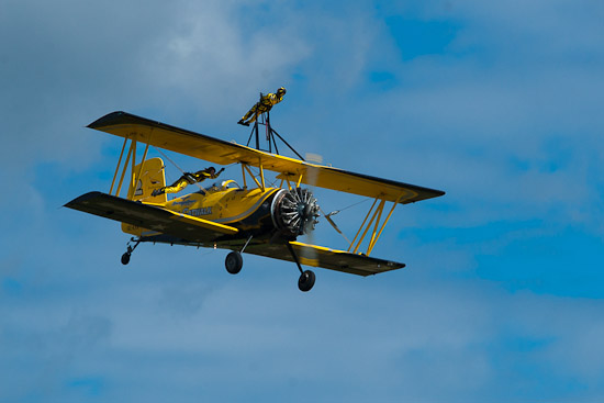 Katter som klättrar på flygplanet