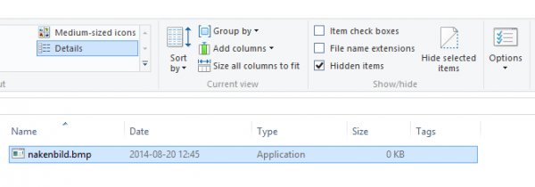 Fil med dold filändelse ser ut som en .bmp (bild)