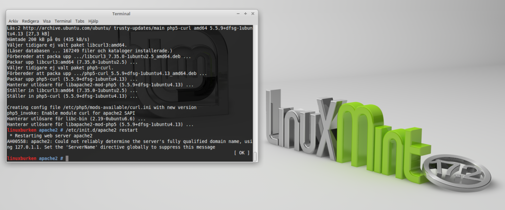 vps_linux_mint